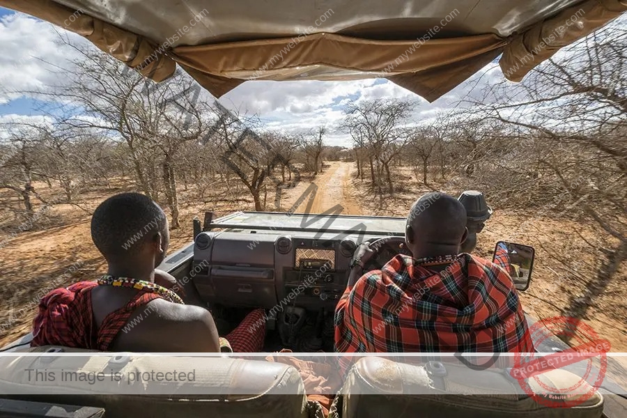 imgi_71_Porini Amboseli
