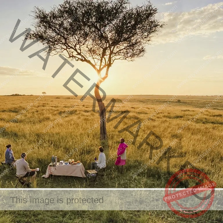 imgi_72_masai_mara_banner_3 768x768 1
