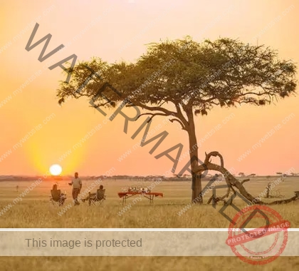 imageye___-_imgi_124_Ubuntu-Camp-Sundowners-with-a-view-420x380
